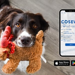 飼い主とペットシッターをつなぐマッチングアプリ「Cosewa」に注目！