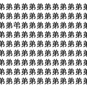 【脳トレ】「弟」の中に紛れて1つ違う文字がある！？あなたは何秒で探し出せるかな？？【違う文字を探せ！】