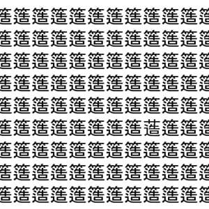 【脳トレ】「簉」の中に紛れて1つ違う文字がある！？あなたは何秒で探し出せるかな？？【違う文字を探せ！】