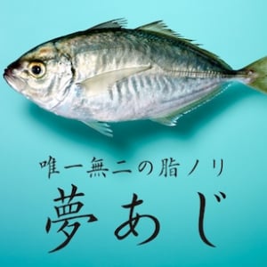 幻の魚カイワリと南房総産の金アジを親に持つ新品種「夢あじ」誕生！テスト販売を実施