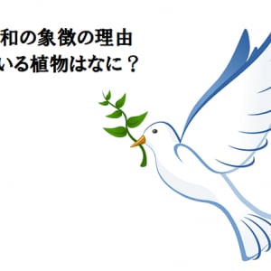 なぜ鳩は平和の象徴なのか？そして咥えている植物はなに？