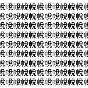 【脳トレ】「帨」の中に紛れて1つ違う文字がある！？あなたは何秒で探し出せるかな？？【違う文字を探せ！】