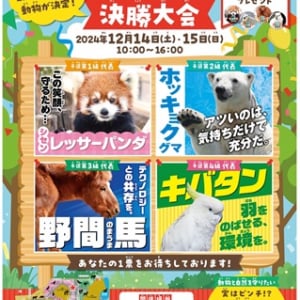 【大阪府大阪市】天王寺動物園で「どうぶつ総選挙 決勝大会」開催！最も応援したい動物がついに決定