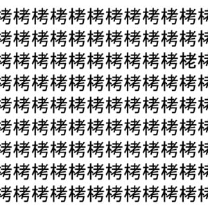 【脳トレ】「栲」の中に紛れて1つ違う文字がある！？あなたは何秒で探し出せるかな？？【違う文字を探せ！】