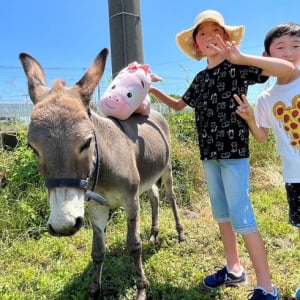 まちの電気屋さん、敷地の庭を子ども達に開放！ 図書館やアスレチック、ミニ牧場など”地域の遊園地”なぜつくった？　群馬県前橋市「ソウワ・ディライト」