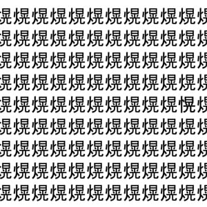 【脳トレ】「熀」の中に紛れて1つ違う文字がある！？あなたは何秒で探し出せるかな？？【違う文字を探せ！】