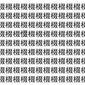 【脳トレ】「棳」の中に紛れて1つ違う文字がある！？あなたは何秒で探し出せるかな？？【違う文字を探せ！】