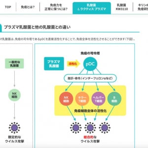 インフル・コロナ・マイコプラズマ肺炎のトリプルデミックに要注意！　免疫細胞全体を活性化させるL. lactis strain Plasma（プラズマ乳酸菌）とは？