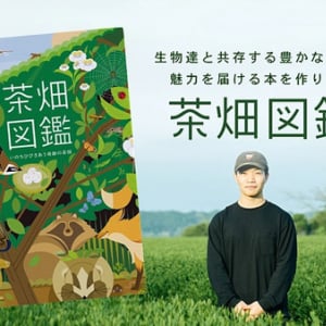 95年の歴史を持つ宮崎の茶園が生命の多様性を描いた『茶畑図鑑』でクラファン挑戦中