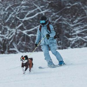 【長野県信濃町】広大な雪のゲレンデを愛犬と一緒に滑れる、「黒姫高原スノーパーク」OPEN！