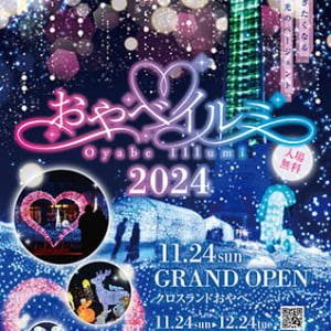 【富山県小矢部市】光の世界に包まれる「おやべイルミ2024」開催中！恋人の聖地もライトアップ