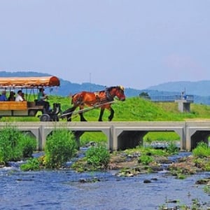 【京都府亀岡市】「京馬車」で自然の中をゆったり観光！リラックスした時間を満喫してみよう