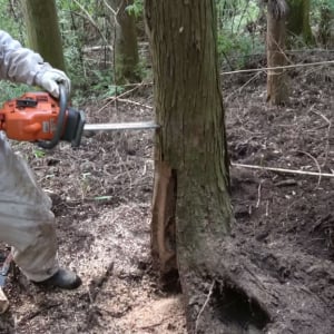 【マジか】スズメバチの巣を駆除した結果→ 激レアなモノが発見される