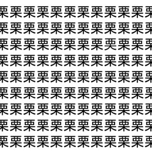 【脳トレ】「栗」の中に紛れて1つ違う文字がある！？あなたは何秒で探し出せるかな？？【違う文字を探せ！】