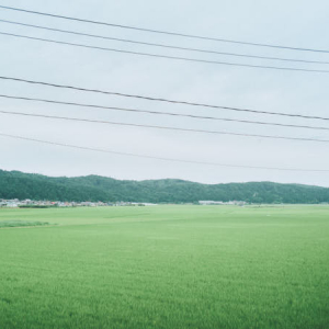 【青森県旧福地村(南部町)】馬淵川沿いを進み、ひらけた田園風景が目に入る