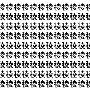 【脳トレ】「稜」の中に紛れて1つ違う文字がある！？あなたは何秒で探し出せるかな？？【違う文字を探せ！】