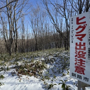 【クマ出没看板シリーズ】熊が出没した「釧路湿原」に行ってみた / ステキな大自然