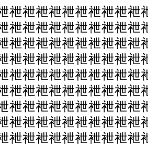 【脳トレ】「袣」の中に紛れて1つ違う文字がある！？あなたは何秒で探し出せるかな？？【違う文字を探せ！】