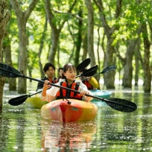 山形県飯豊町「白川湖の水没林」での取り組みが、スポーツ文化ツーリズムアワード2024受賞！