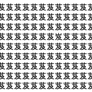 【脳トレ】「芨」の中に紛れて1つ違う文字がある！？あなたは何秒で探し出せるかな？？【違う文字を探せ！】