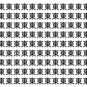 【脳トレ】「東」の中に紛れて1つ違う文字がある！？あなたは何秒で探し出せるかな？？【違う文字を探せ！】