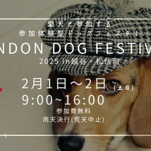 【埼玉県松伏町】ドッグイベント「London Dog Festival 2025」開催！無料しつけ教室も実施