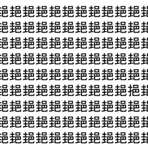 【脳トレ】「郌」の中に紛れて1つ違う文字がある！？あなたは何秒で探し出せるかな？？【違う文字を探せ！】