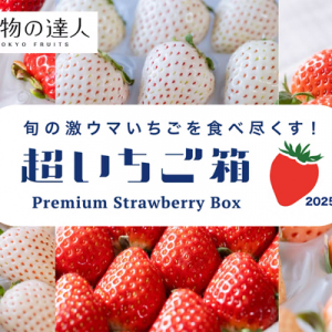 旬の激ウマいちごを食べ比べ「超いちご箱」クラファンで予約開始！果物の専門家が厳選