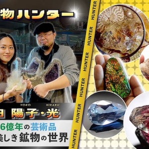 【福岡県博多市】鉱物、野食、植物ハンターが集結「野野野！？ハンターの好奇な世界」