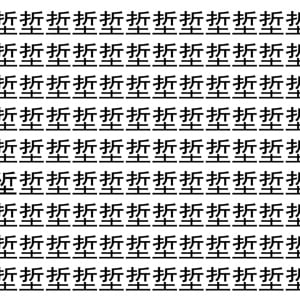 【脳トレ】「埑」の中に紛れて1つ違う文字がある！？あなたは何秒で探し出せるかな？？【違う文字を探せ！】