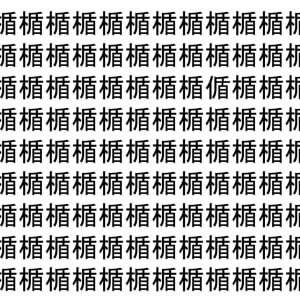 【脳トレ】「楯」の中に紛れて1つ違う文字がある！？あなたは何秒で探し出せるかな？？【違う文字を探せ！】