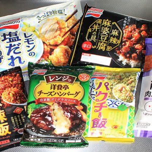 味の素冷凍食品 レンチン3分 最新作6品 2/9 登場！ 洋食亭チーズハンバーグ 麻辣飯 パクチー飯 おべんとPON肉だんご レモンの塩だれから揚げ 麻辣麻婆豆腐丼の具