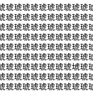 【脳トレ】「琥」の中に紛れて1つ違う文字がある！？あなたは何秒で探し出せるかな？？【違う文字を探せ！】