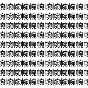 【脳トレ】「帵」の中に紛れて1つ違う文字がある！？あなたは何秒で探し出せるかな？？【違う文字を探せ！】