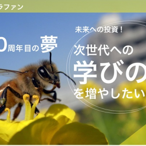 活動20周年の銀座ミツバチプロジェクト、新たな挑戦へ向けクラファン開始！