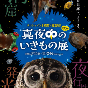 サンシャイン水族館、“暗闇”テーマの特別展「真夜中のいきもの展」3月14日より開催！