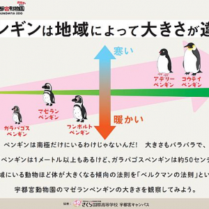 【栃木県宇都宮市】宇都宮動物園の動物の生態を図解で分かりやすく解説する展示！小学生も一瞬で分かる