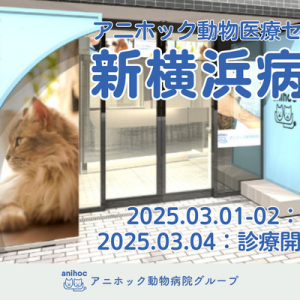 【神奈川県横浜市】夜間診療や土日診療も実施！「アニホック動物医療センター新横浜病院」が3月開業