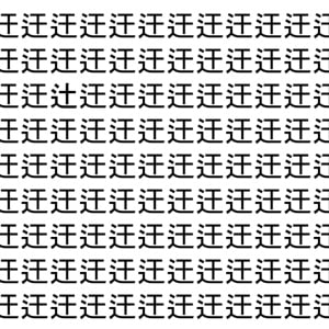 【脳トレ】「迀」の中に紛れて1つ違う文字がある！？あなたは何秒で探し出せるかな？？【違う文字を探せ！】