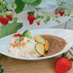 【滋賀県守山市】 「河西いちご園」が作る、本格いちごカレーに注目！11月にリニューアル