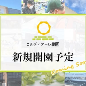 【福岡県中間市】地方創生型障がい者雇用支援サービス「コルディアーレ中間農園」、7月オープン