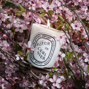 DIPTYQUEが、満開の桜の木の香りした限定クラシックキャンドル Fleur de Cerisier (フルール ド スリジエ ) を発売