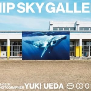 【千葉県南房総市】地球環境について知り思いを馳せる。「SHIP SKY GALLERY 青空動物写真展」開催