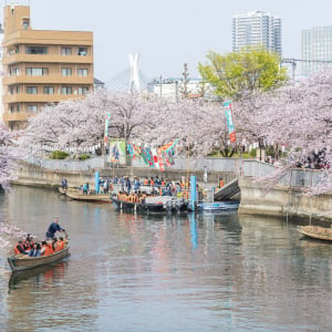 運河沿いの桜を楽しめるイベント「第21回 お江戸深川さくらまつり」3月22日より開催！