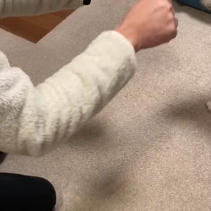 柴犬とグッパー遊びをしていたら・・。なぜか挟まりにくるのがかわいいと話題に「一緒にパァッ！ってするのかわいすぎます」