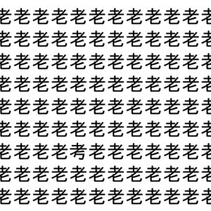 【脳トレ】「老」の中に紛れて1つ違う文字がある！？あなたは何秒で探し出せるかな？？【違う文字を探せ！】