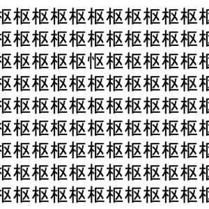 【脳トレ】「枢」の中に紛れて1つ違う文字がある！？あなたは何秒で探し出せるかな？？【違う文字を探せ！】