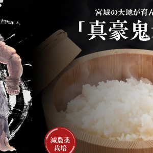 「ストリートファイター 6」とコラボレーションした「真豪鬼米」が3月7日から発売！おにぎりに最適な「つきあかり」採用