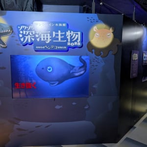 サンシャイン水族館の新技術もポイントに　めずらしい深海生物の秘密に迫る「ゾクゾク深海生物2025 ～奇妙奇怪ヘンテコ深海生物～」で深海の秘密を解き明かす