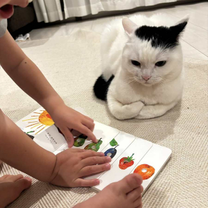 ネコが子供の読み聞かせを真剣に聞いている！？「腕組んでるのがかわいい」「ふむふむにゃるほどにゃ」